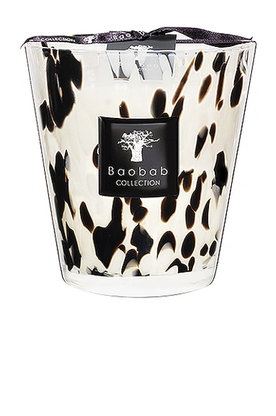 Shop Baobab Collection Pearls Candle In Black