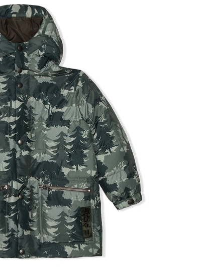 Shop Dolce & Gabbana Tree-print Hooded Jacket In Green