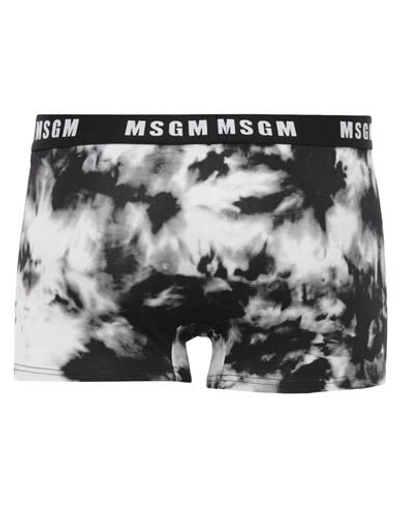 Shop Msgm Man Boxer Black Size M Cotton, Elastane