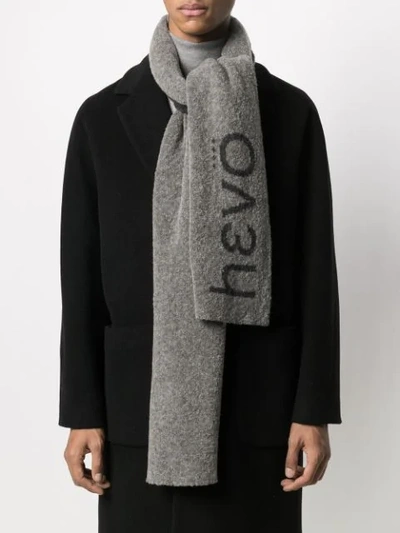 Shop Hevo Intarsia Knit Logo Scarf In Grey