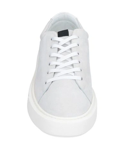 Shop Low Brand Sneakers In Light Grey