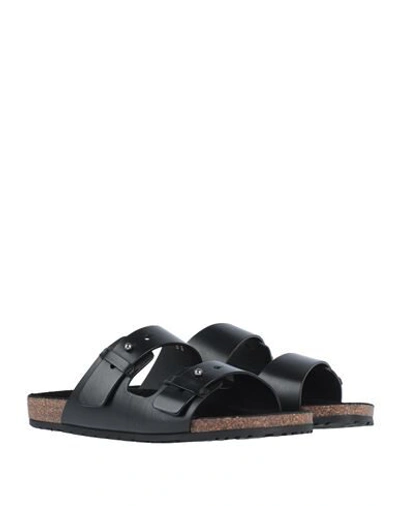 Shop Saint Laurent Sandals In Black