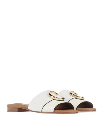 Shop Chloé Sandals In Ivory