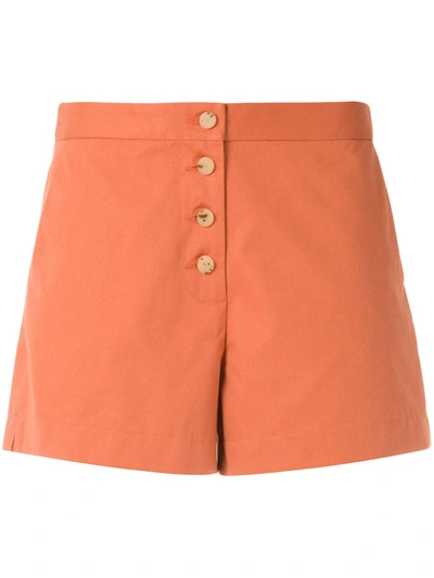 Shop Eva Doris Tailored Shorts In Orange