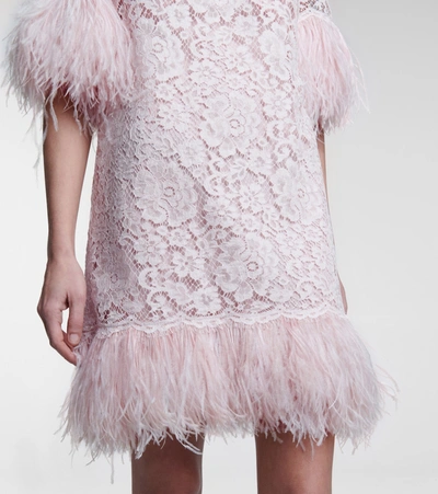 Shop Dolce & Gabbana Feather-trimmed Lace Minidress In Pink