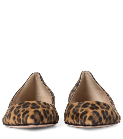 Shop Gianvito Rossi Gianvito Leopard-print Ballet Flats In Brown