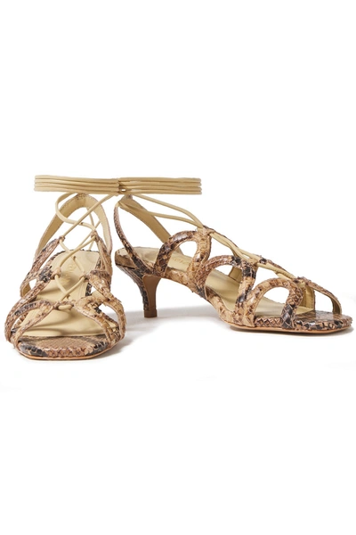 Shop Zimmermann Lace-up Snake-effect Leather Sandals In Animal Print