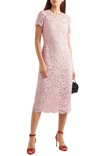 Shop Valentino Corded Lace Midi Dress In Baby Pink