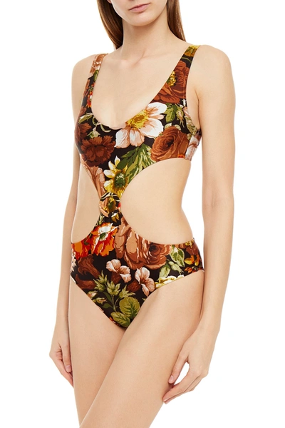Shop Zimmermann Bonita Cutout Floral-print Swimsuit In Brown