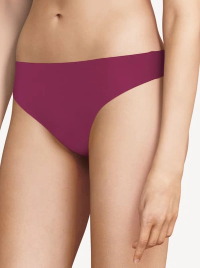 Shop Chantelle Soft Stretch Thong In Wine