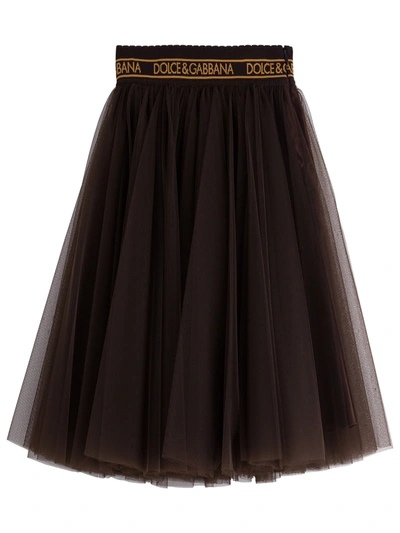 Shop Dolce & Gabbana Midi Tulle Skirt In Brown