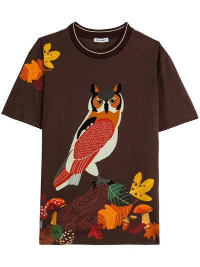 Shop Dolce & Gabbana Owl Print Cotton T-shirt In Brown