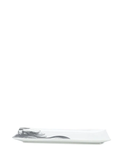 Fornasetti Binoculars-print Serving Dish (37cm) In White