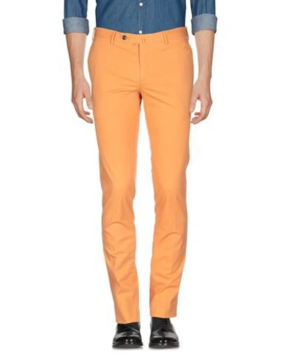 Shop Pt Torino Man Pants Orange Size 38 Cotton, Elastane
