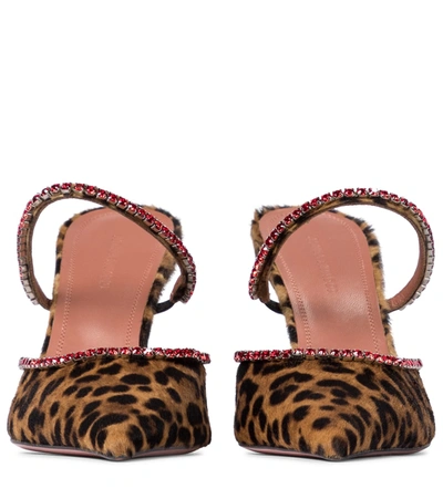 Shop Amina Muaddi Gilda Leopard-print Calf Hair Mules In Brown