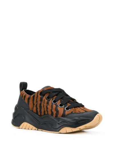 Shop Just Cavalli Animal-print Lace-up Sneakers In Black