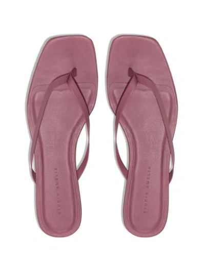 Shop Studio Amelia Square-toe Flip-flop Sandals In Purple