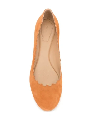 Shop Chloé Lauren Ballerina Shoes In Brown