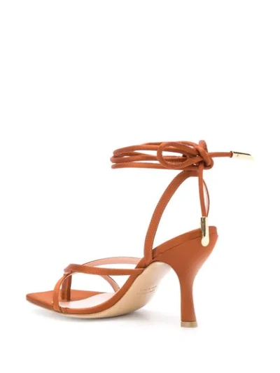 Shop Gia Couture Kandice Open-toe Sandals In Brown
