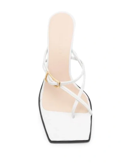 Shop Wandler Buckle Strap Sandals In White