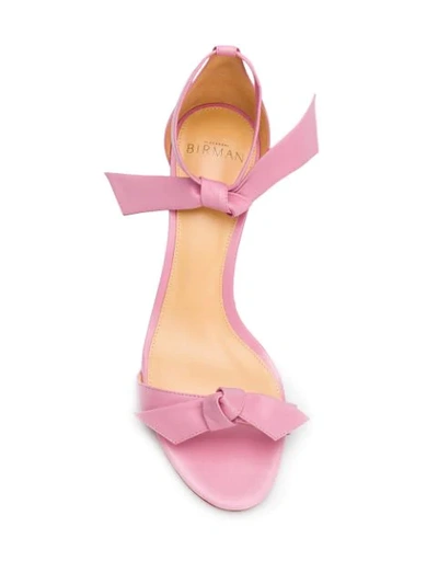 Shop Alexandre Birman Bow Detail Low Heel Sandals In Pink