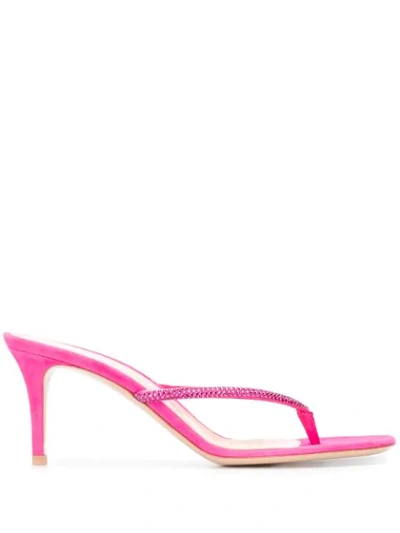 Shop Gianvito Rossi Calypso Heeled Flip-flops In Pink