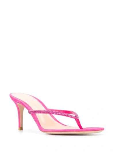 Shop Gianvito Rossi Calypso Heeled Flip-flops In Pink