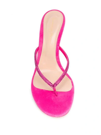 Shop Gianvito Rossi Calypso Heeled Flip-flops In Pink