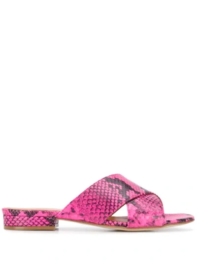 Shop Via Roma 15 Snakeskin Print Sandals In Pink