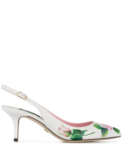 Shop Dolce & Gabbana Tropical Rose 60m Slingback Pumps In White