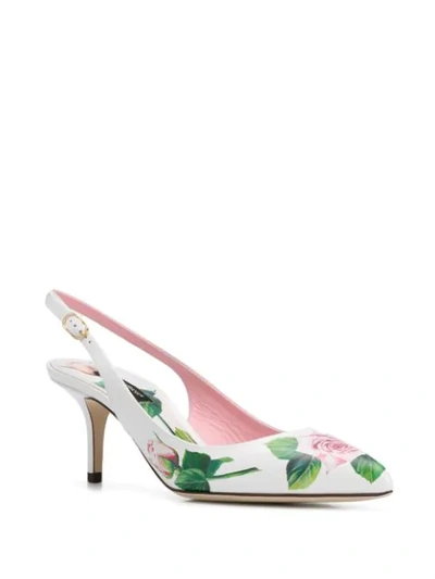 Shop Dolce & Gabbana Tropical Rose 60m Slingback Pumps In White