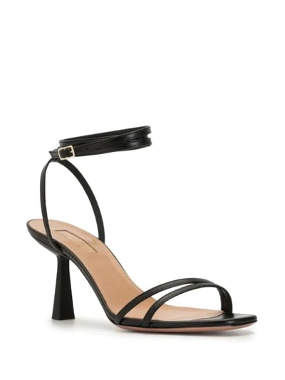 Shop Aquazzura Ankle-strap Leather Sandals In Black