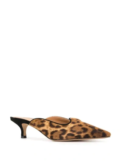 Shop Le Monde Beryl Leopard Print Kitten Heel Mules In Brown