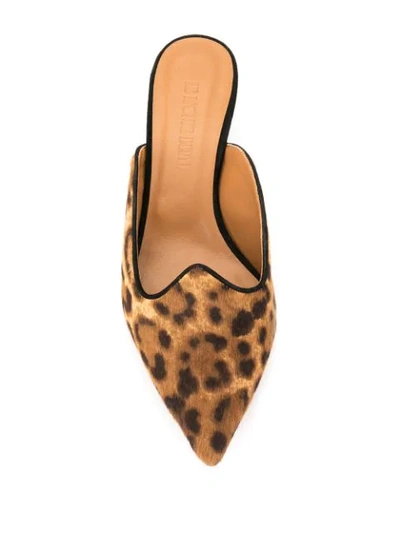 Shop Le Monde Beryl Leopard Print Kitten Heel Mules In Brown