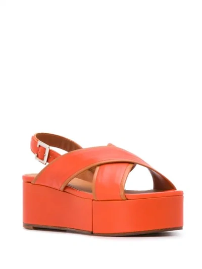 Shop Clergerie Myrta Platform Sandals In Orange