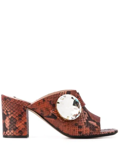 Shop N°21 Snake Print 85 Mules In Brown