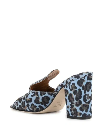 Shop Paris Texas Leopard Print Block Heel Mules In Blue