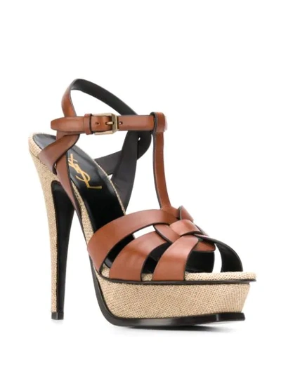 Shop Saint Laurent Tribute 105mm Sandals In Brown