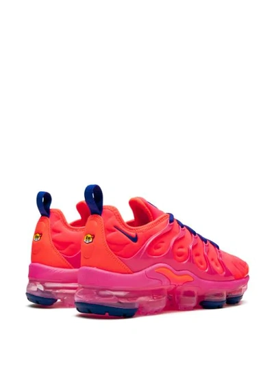 tiempo legend 8 fg