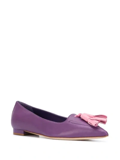 Shop Manolo Blahnik Nabu Ballerina Shoes In Purple