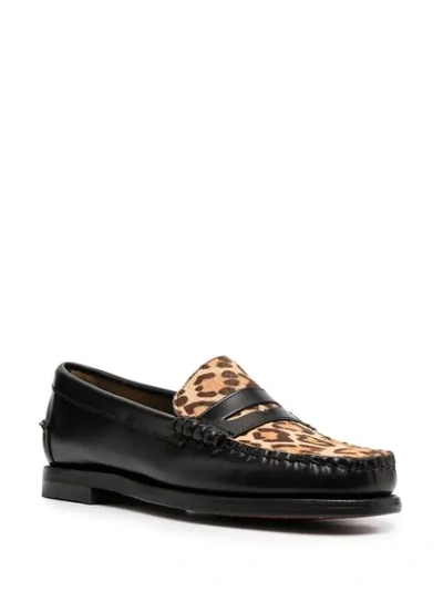 Sebago Dan Vamp Wild In Black