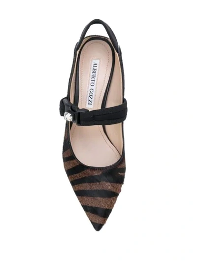 Shop Alberto Gozzi Zebra Print Pumps In Brown