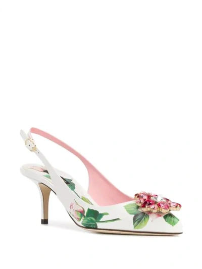 Shop Dolce & Gabbana Tropical Rose Print Slingback Pumps In White