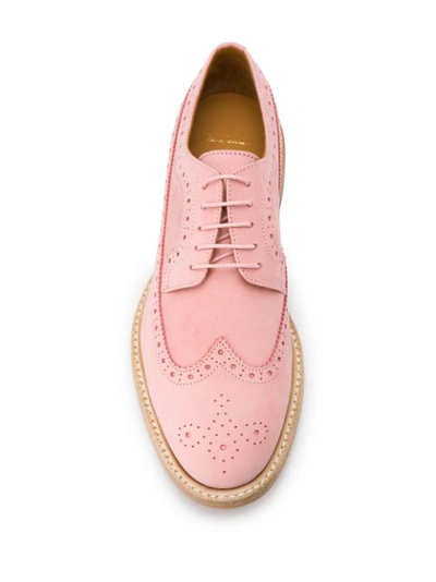 Shop Paul Smith Lace Up Perforated Detail Brogues In Pink