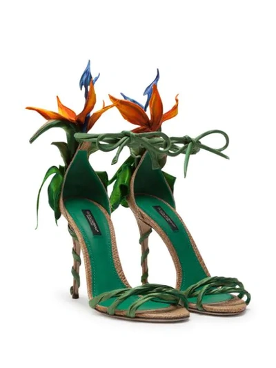 Shop Dolce & Gabbana Bird Of Paradise Satin Sandals In Green ,orange
