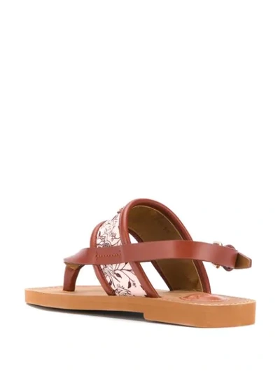 Shop Chloé Floral-detail Sandals In Brown