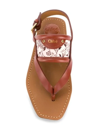 Shop Chloé Floral-detail Sandals In Brown