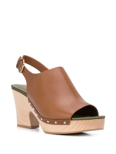 Shop Ferragamo 40mm Clog Sandals In Brown