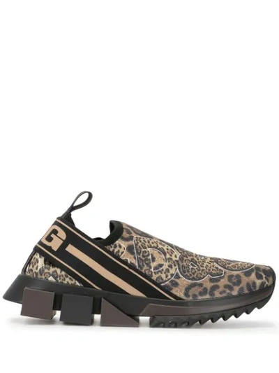 Shop Dolce & Gabbana Sorrento Leopard-print Sneakers In Brown