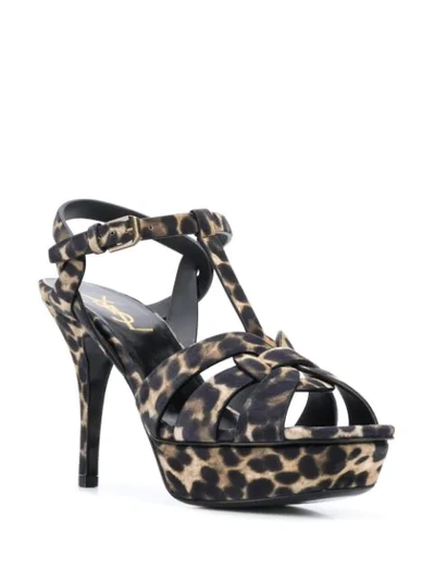 Shop Saint Laurent Tribute Leopard Sandals In Brown
